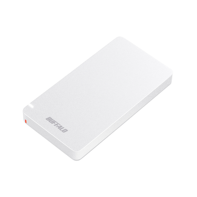 《整備済・再生品》SSD-PGM1.9U3-W(保証1年)